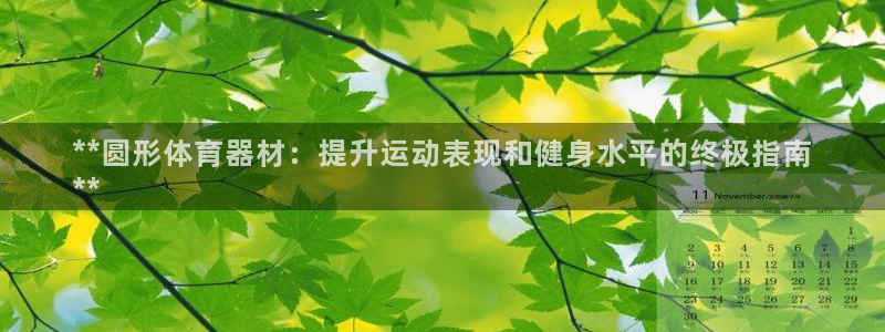 星奥娱乐集团股份有限公司官网：**圆形体育器材：提升