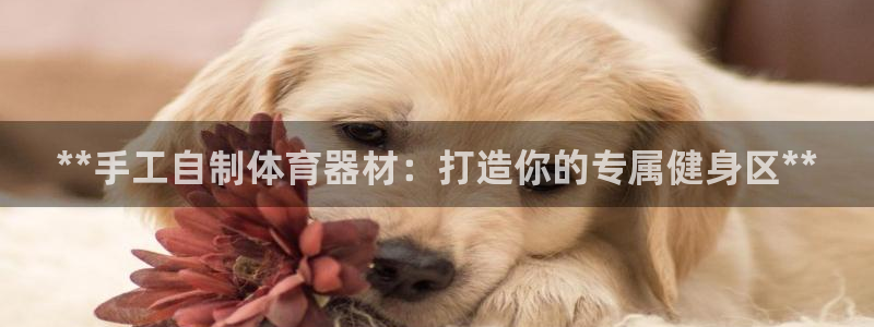 江苏星奥娱乐有限公司报名：**手工自制体育器材：打造