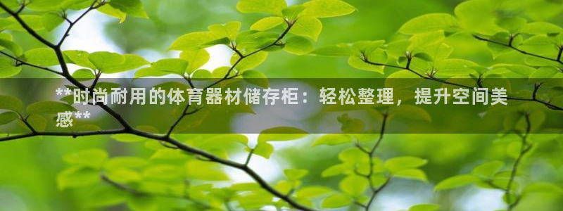星欧娱乐的创始人背景故事是什么：**时尚耐用的体育器