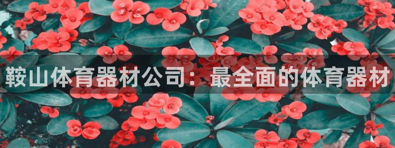 星欧娱乐官方客服联系方式：鞍山体育器材公司：最全面的