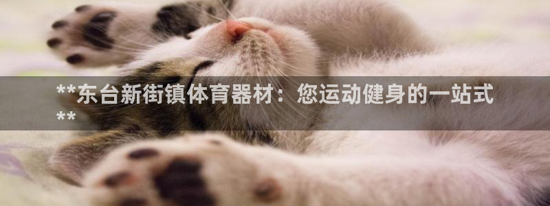 星娱乐文化传媒有限公司：**东台新街镇体育器材：您运