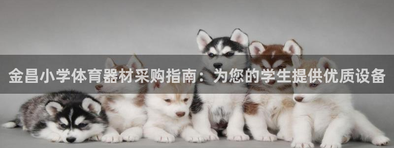 星欧娱乐公司简介：金昌小学体育器材采购指南：为您的学