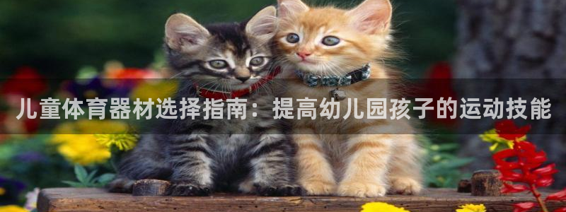 星欧娱乐扣款流程详解图片大全：儿童体育器材选择指南：