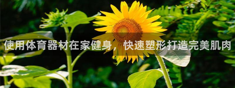 星欧娱乐扣款流程详解：使用体育器材在家健身，快速塑形