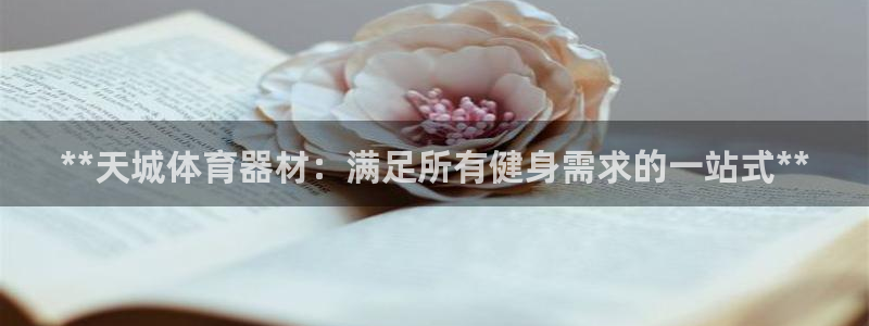 星欧娱乐公司简介：**天城体育器材：满足所有健身需求