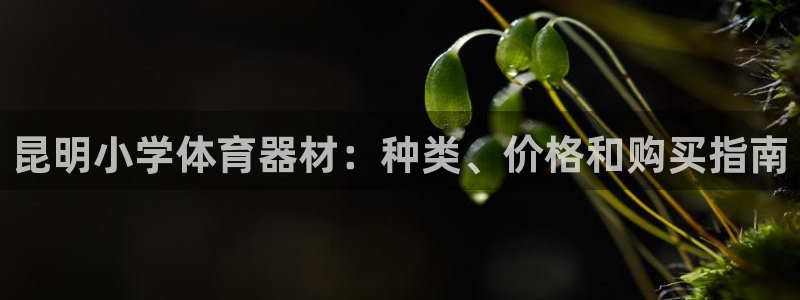 星欧娱乐发7O777：昆明小学体育器材：种类、价格和