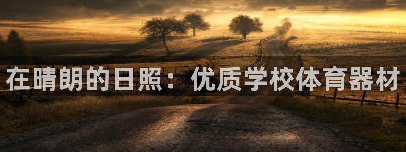 星澳娱乐公司：在晴朗的日照：优质学校体育器材