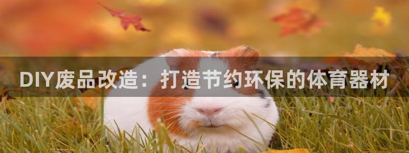 星欧娱乐属于什么档次的网站：DIY废品改造：打造节约