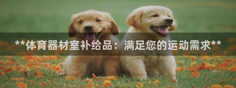 星娱乐彩票网：**体育器材室补给品：满足您的运动需求