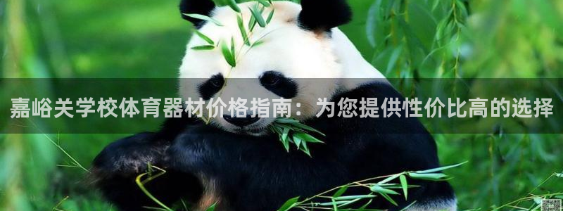 星欧娱乐官方客服联系方式：嘉峪关学校体育器材价格指南