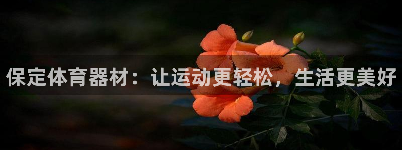 星娱乐是谁的公司：保定体育器材：让运动更轻松，生活更
