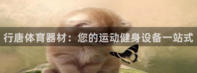 星欧娱乐和嫲薇他的区别是什么：行唐体育器材：您的运动