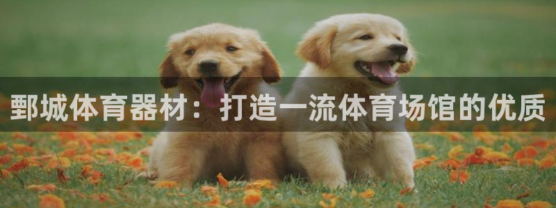 星欧娱乐的创始人背景故事介绍：鄄城体育器材：打造一流