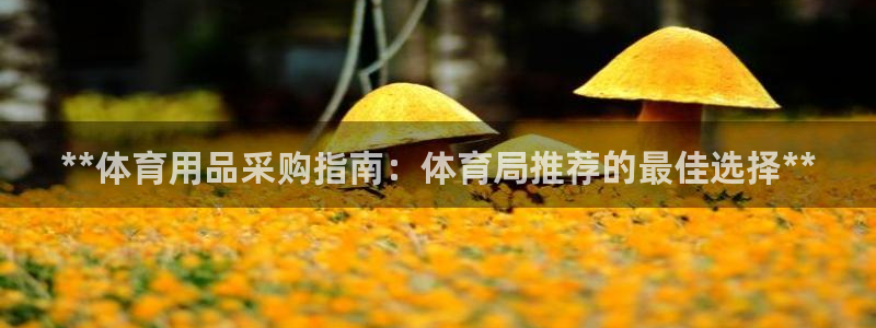 星欧娱乐的官方版本更新内容有哪些：**体育用品采购指