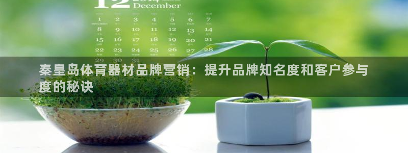星欧娱乐工711.11是正规的吗：秦皇岛体育器材品牌