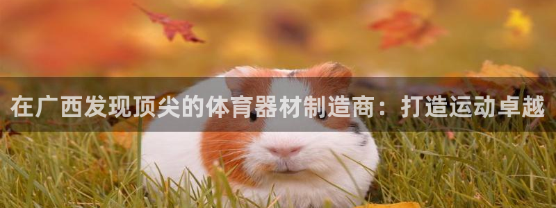 星欧娱乐属于什么档次的软件：在广西发现顶尖的体育器材