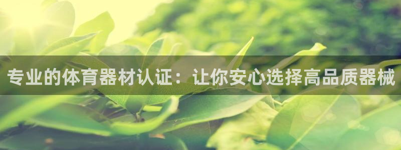 星欧娱乐是正规品牌吗：专业的体育器材认证：让你安心选