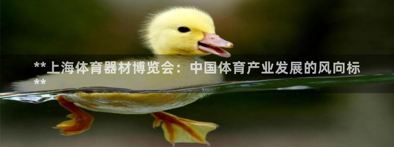 江苏星奥娱乐有限公司出过哪些艺人：**上海体育器材博