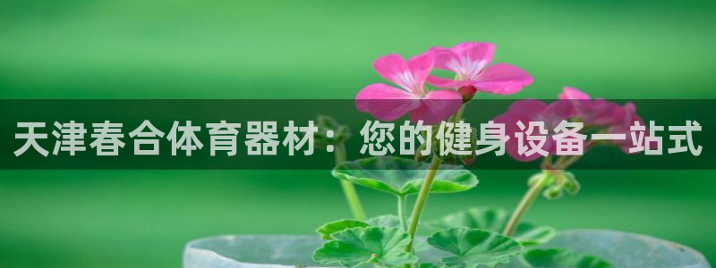 星欧娱乐法711.112扣费如何处理：天津春合体育器