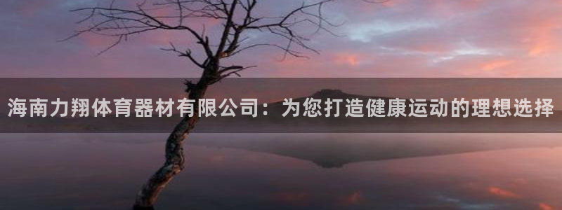 星欧娱乐平台怎么样：海南力翔体育器材有限公司：为您打造健康运