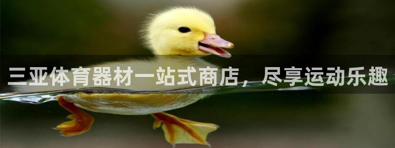 江苏星奥娱乐有限公司报名：三亚体育器材一站式商店，尽