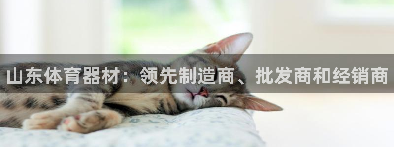 星欧娱乐扣款流程详解视频教程：山东体育器材：领先制造