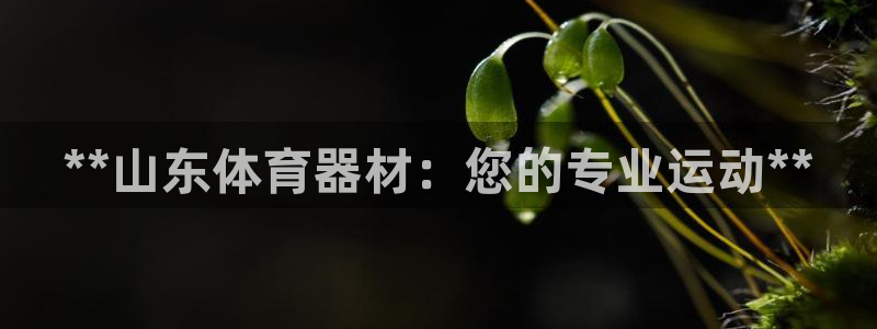 星游娱乐下载地址：**山东体育器材：您的专业运动**
