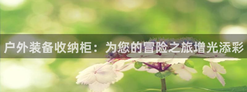 星奥娱乐招聘：户外装备收纳柜：为您的冒险之旅增光添彩