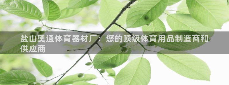 星欧娱乐是正规平台吗安全吗：盐山奥通体育器材厂：您的