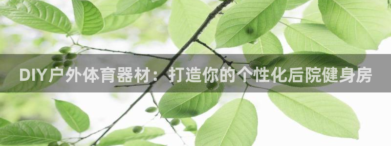 星欧娱乐最建议买的三个产品有哪些：DIY户外体育器材