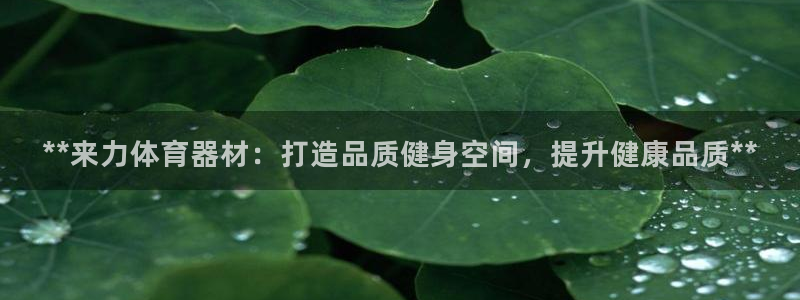 星欧娱乐方7O777：**来力体育器材：打造品质健身