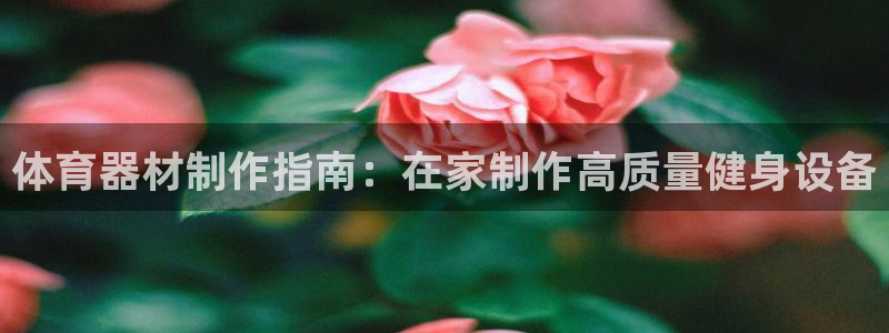 星欧娱乐是正规平台吗安全吗知乎：体育器材制作指南：在