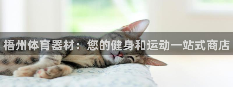 星澳娱乐公司怎么样：梧州体育器材：您的健身和运动一站