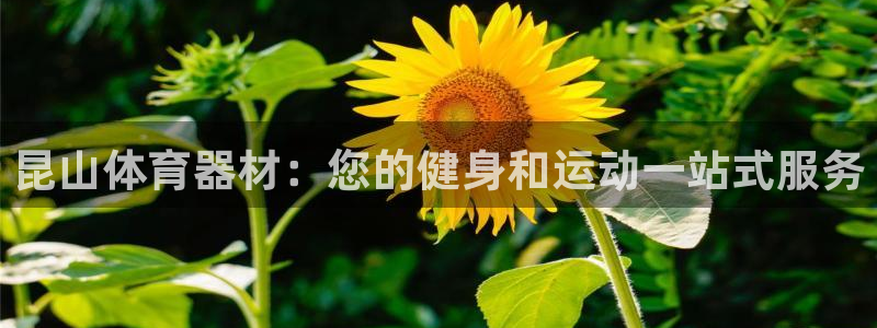 星奥娱乐艺人