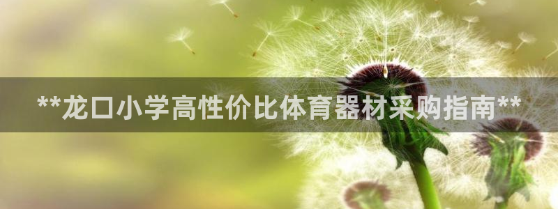 星欧娱乐测速：**龙口小学高性价比体育器材采购指南*