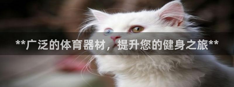 星游娱乐1官网下载：**广泛的体育器材，提升您的健身之旅**