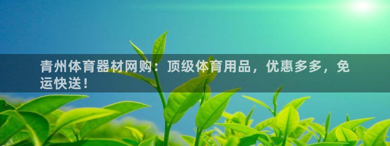 星欧娱乐最建议买的三个产品是：青州体育器材网购：顶级体育用品