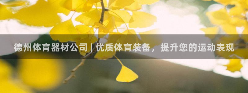 星欧娱乐平台怎么样可靠吗：德州体育器材公司 | 优质体育装备