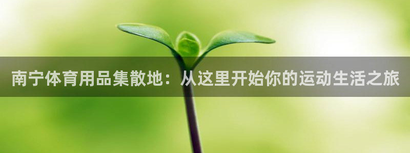星欧娱乐会员优惠活动