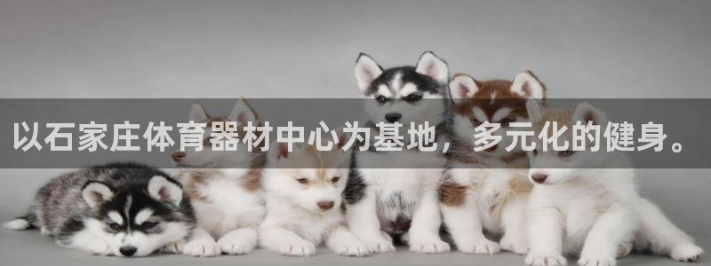 星欧娱乐游戏官网