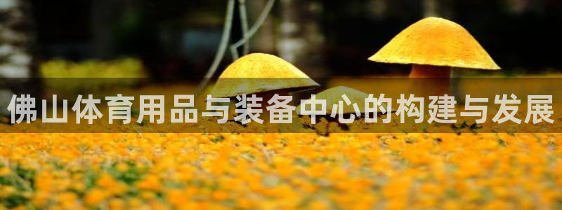 星欧娱乐的创始人背景故事是什么