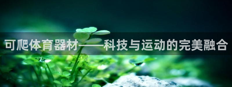 星欧娱乐属于什么档次的软件公司