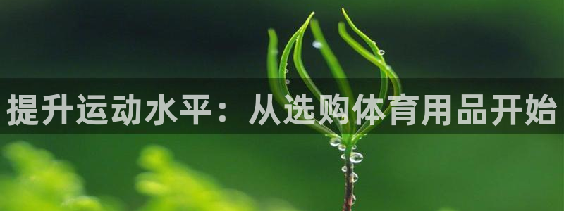 星欧娱乐属于什么档次