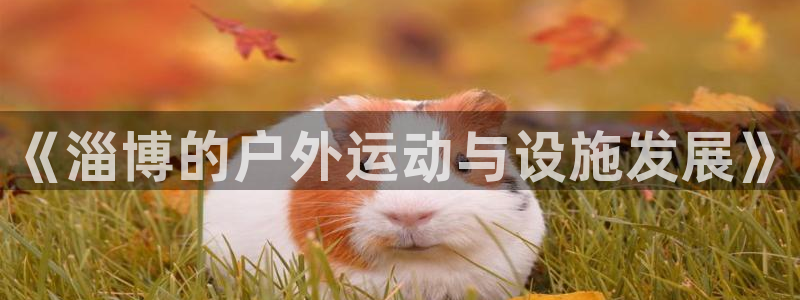 星欧娱乐平台怎么样啊安全吗