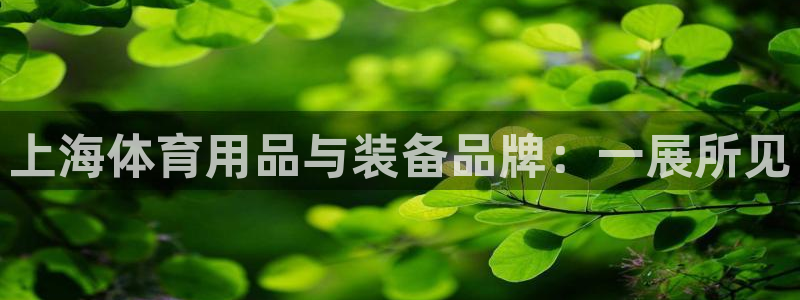 星欧娱乐平台告7O777