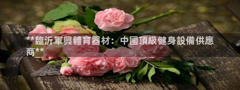 星欧娱乐属于什么档次的公司名称：**臨沂軍興體育器材