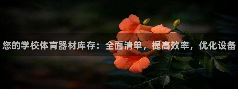 星欧娱乐的官方版本更新内容：您的学校体育器材库存：全面清单， 