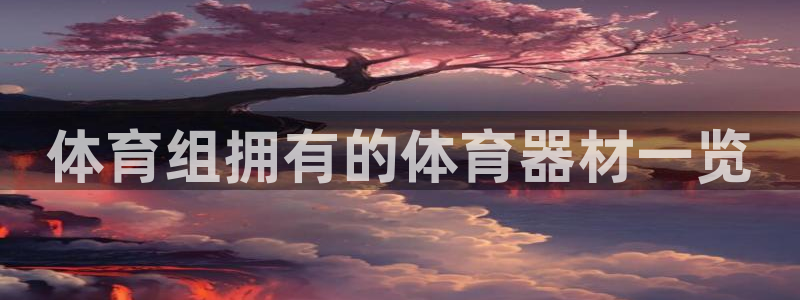 星澳娱乐公司怎么样：体育组拥有的体育器材一览