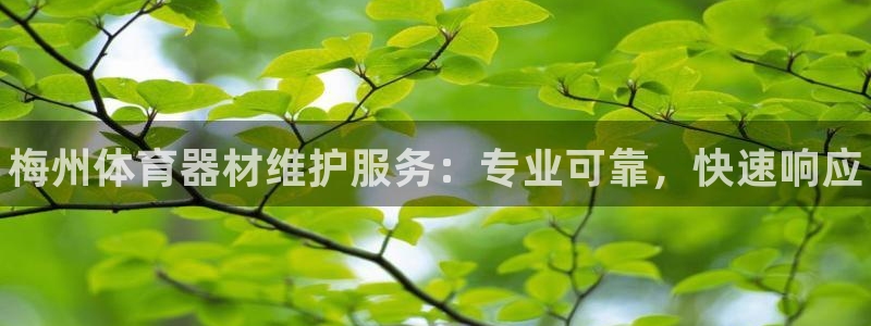 星欧娱乐平台方7O777：梅州体育器材维护服务：专业可靠，快 
