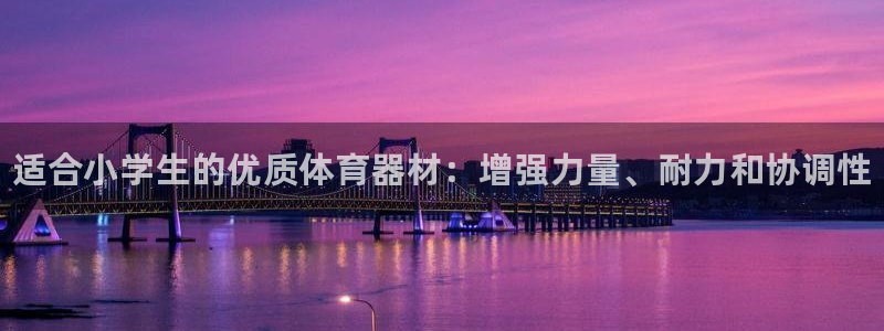 星欧娱乐退款流程详解：适合小学生的优质体育器材：增强